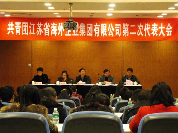 共青团海企集团第二次代表大会顺利召开图片